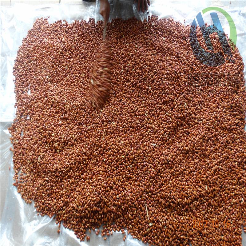 恒品加工定做自动刮渣油炸机 花生米青豆坚果油炸锅设备