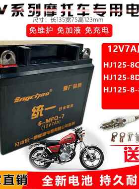 适用豪爵HJ125-8/8C/8D/8E/8G/8F太子摩托车电瓶干蓄电池免12V7A