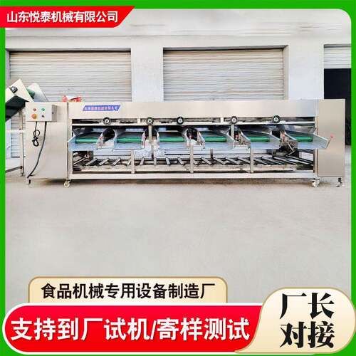 龙眼荔枝分选机商用土豆西红柿分级机工厂用滚杠式芒果选果机