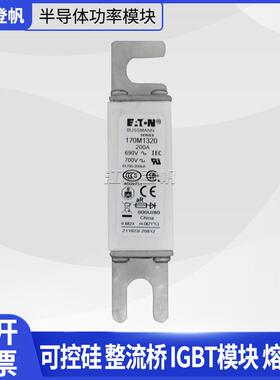 170M1320 170M4410 170M5388 170M5447 170M5448巴斯曼熔断器