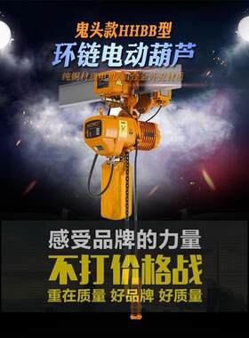 环链电动葫芦1T2t吨挂钩/运行式4m6米9M链条提升吊机货梯提升机