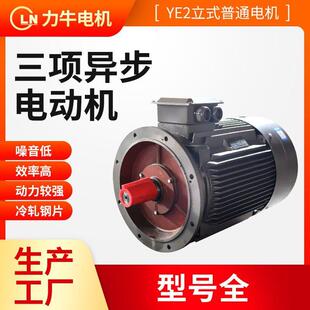 45纯铜线三相电机传输机械设备电动机 三相异步电动机YE2 225M