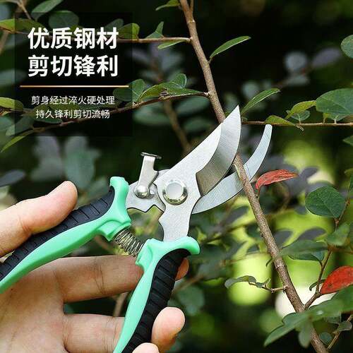 园艺工具不锈钢修枝剪园林剪摘果剪葡萄剪果枝剪花艺专用剪套装