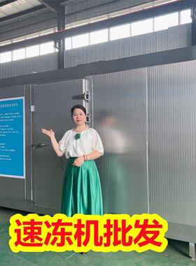 经济型隧道速冻机 小型果蔬厂线 豇豆速冻设备生产厂家