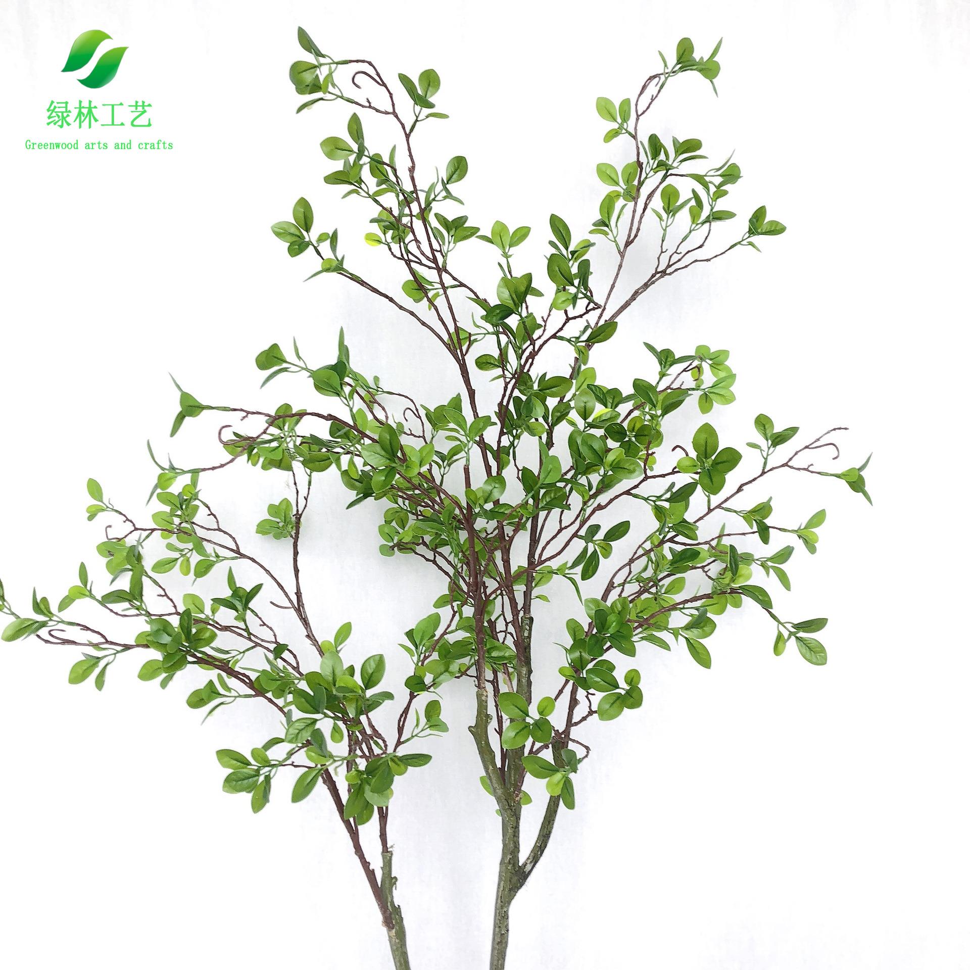 仿真椿树高档美式加密款落地植物橄榄树盆景摄影道具装饰盆栽