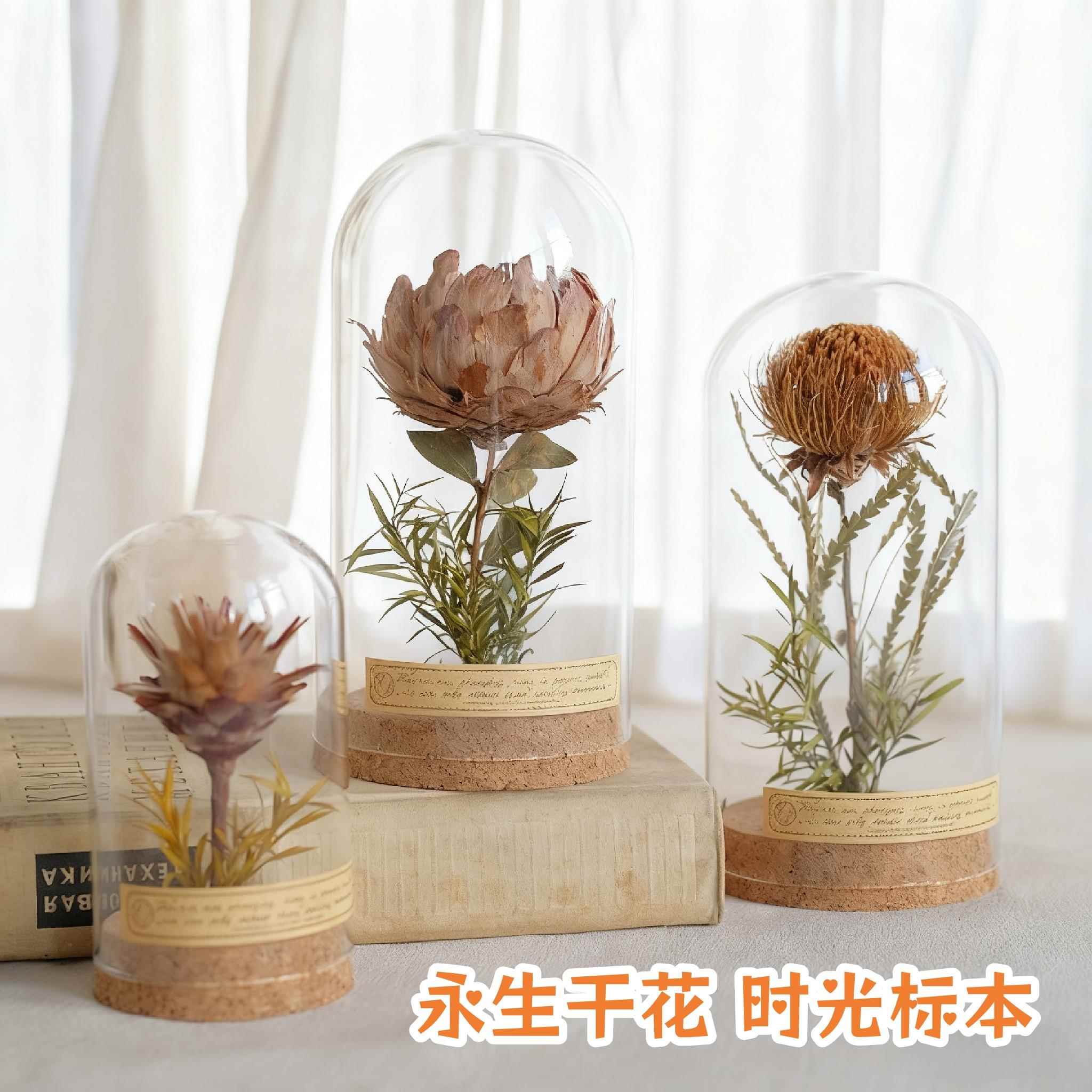 永生干花植物标本摆件向日葵玻璃罩微景观创意礼物书架桌面装饰品