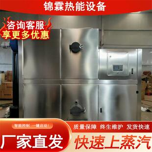 生物质颗粒导热油模温机 30万大卡颗粒木柴多用导热油炉商用工业