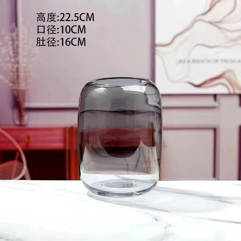现代简约大肚玻璃花瓶微景观苔藓DIY设计插花水养客厅办公室摆件