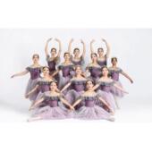 高档儿童芭蕾舞裙专出比赛用表演服舞蹈长纱裙吉尔赛蓬蓬演裙服成