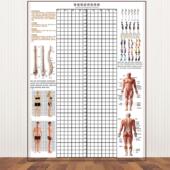 贴式 体态评估表体测健身房私教身体矫正网格中医工作室壁纸图