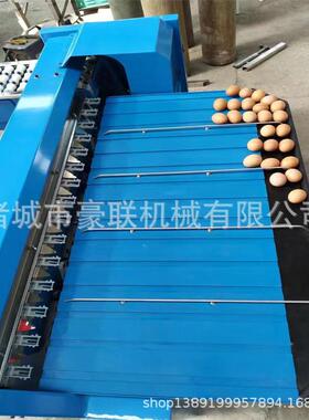高效鸡蛋鸭蛋分级机/鸡蛋分选分拣机/自动选蛋机 产量5400枚/小时