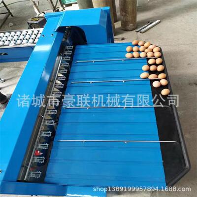 高效鸡蛋鸭蛋分级机/鸡蛋分选分拣机/自动选蛋机 产量5400枚/小时