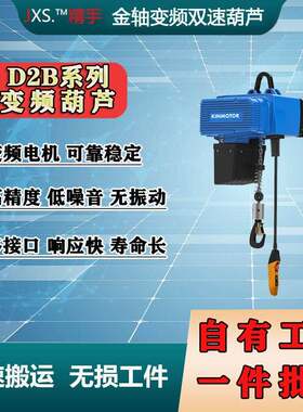 金轴D2系列变频双速提升机环链电葫芦平衡起吊车间助力重型电动