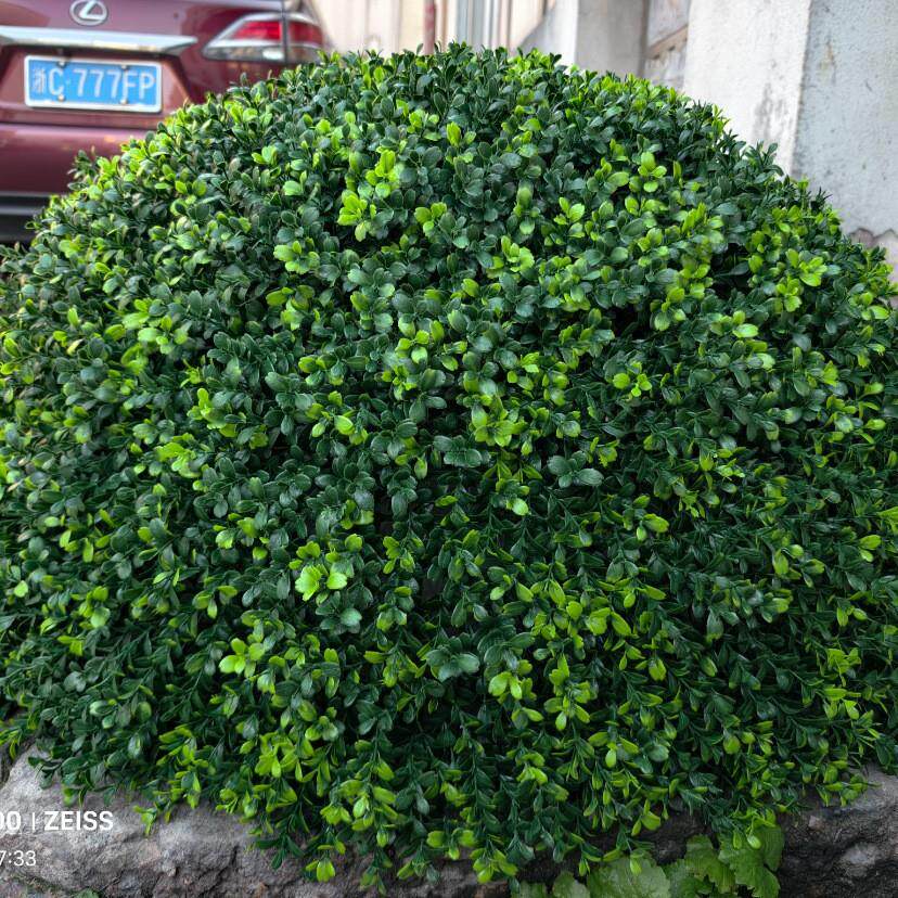 户外绿植井盖遮挡装饰品空心大草球仿真塑料草球女贞叶草球黄杨球