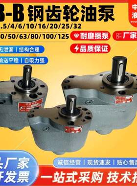 CB-B10/B6/B4/B16/B25/B32/B40/B50/B63/B80/B100/B125钢齿轮油泵