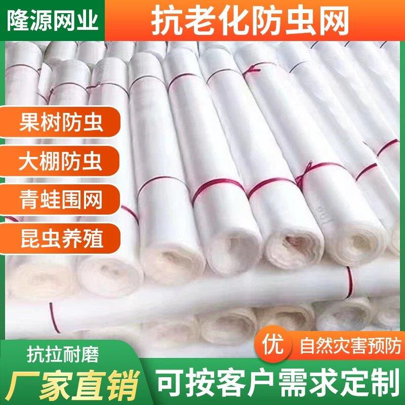 防虫网纱网种菜大棚菜棚专用加厚加密网果树蔬菜种植农用定制网罩