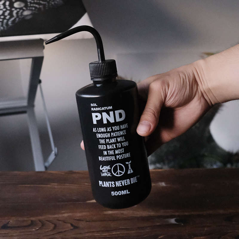 pnd原创黑色增压喷壶浇水壶细嘴手捏多肉园艺浇花绿植分装瓶块根