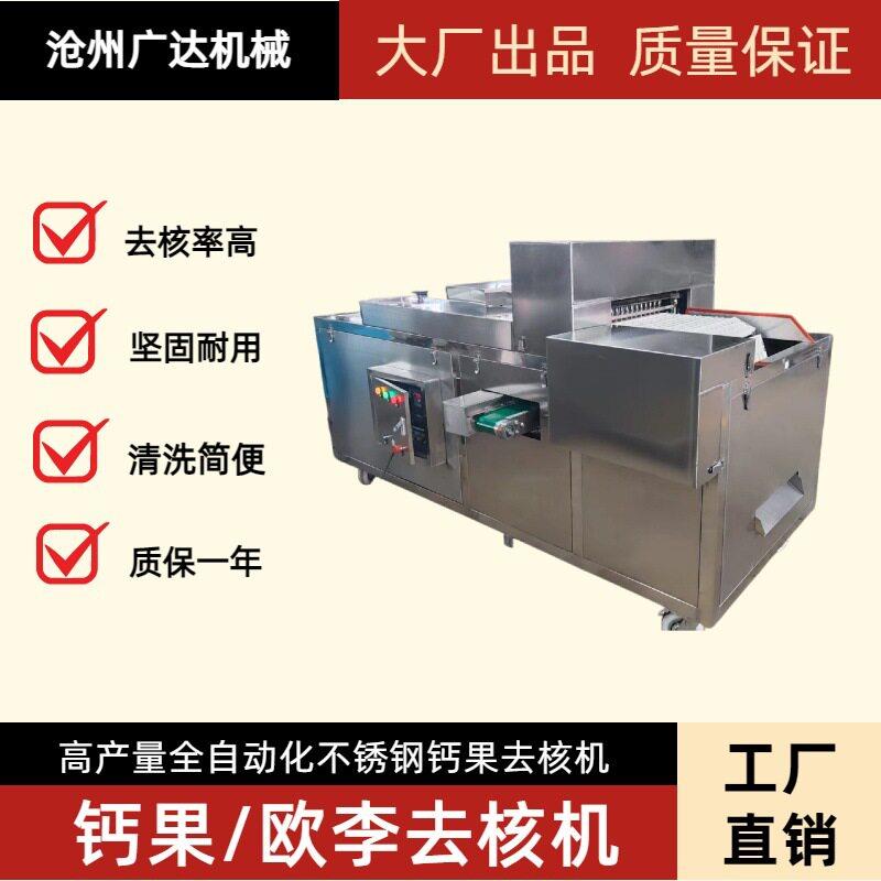 沧州广达机械欧李去核机商用大型供应钙果去核机全自动化厂家直销