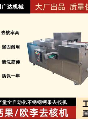 沧州广达机械欧李去核机商用大型供应钙果去核机全自动化厂家直销