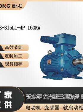 YBX3-315L1-4P160W高效率防爆三相异步电动机南洋电机