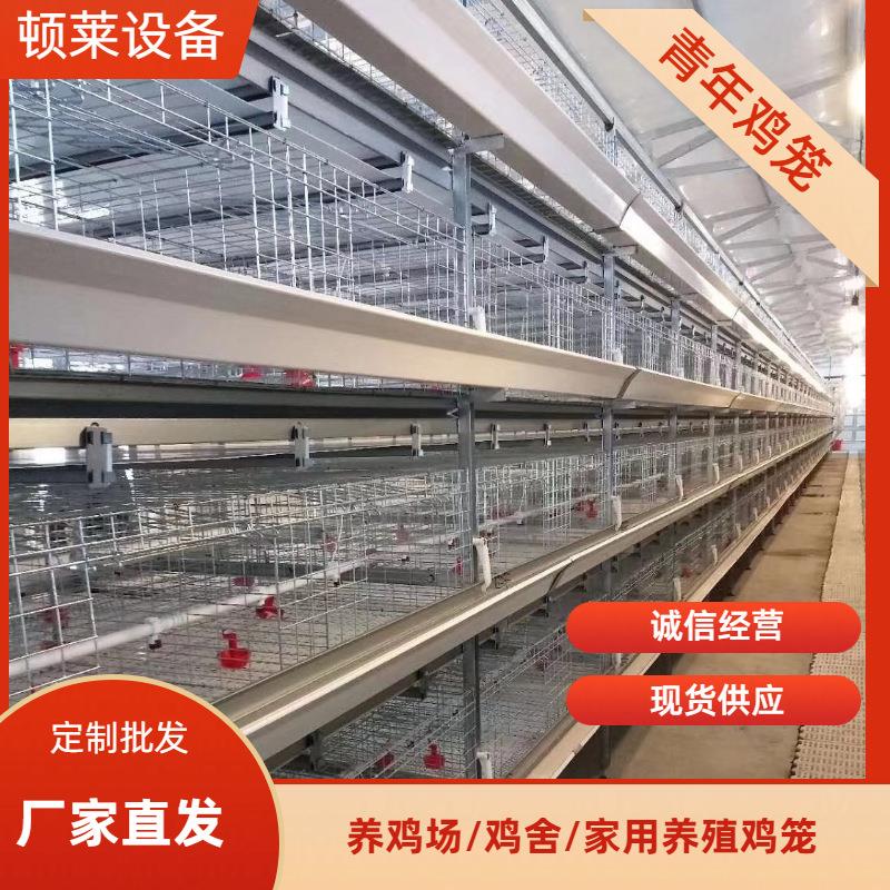 H型青年鸡笼立式 养殖场自动化养殖设备层叠式养鸡笼鸽子笼鹌鹑笼