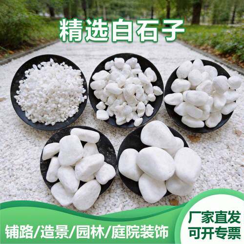 白石子厂家庭院铺路鹅卵石白色石子小白石头阳台造景景观砾石