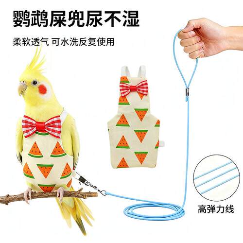 鹦鹉放飞绳超轻小鸟牵引绳脚环不伤脚虎皮牡丹玄凤专用遛鸟飞行绳