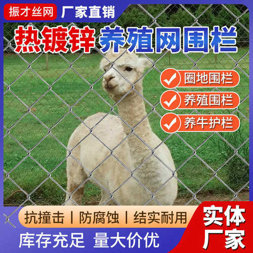热镀锌铁丝菱形装饰编织方格动物园鸟语林防护安全勾花围栏网