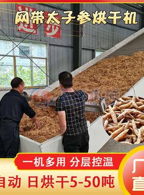 网带太子参烘干机贵州太子参中药材烘干设备双批七四叶参干燥机