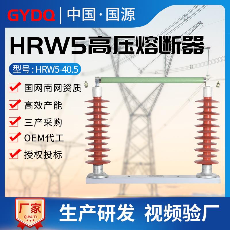 国源HRW5-40.5/100A200A高压跌落式熔断器户外35KV硅橡胶跌落开关