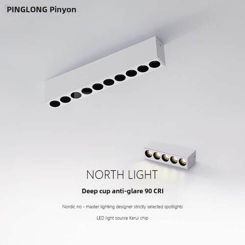 品龙无主灯设计师表面安装长格栅灯入口客厅天花板深杯防眩光90色
