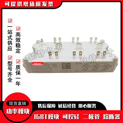 SKM22GD123D SKM25GD125D SKM40GD123D德国IGBT模块SKM40GD124D