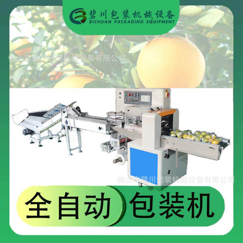 广东厂家直供自动柠檬包装机柑橘罗汉果打包机广西百香果包装设备