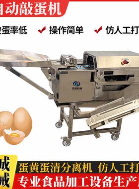 全自动双排蛋黄蛋清分离机面包蛋糕店仿人工打蛋机鸡蛋自动敲蛋机