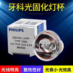 13865 12V75W光学仪器灯泡扁插脚 12v75w灯泡光固化冷光灯杯13865