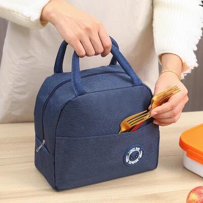 1 waterproof and insulated lunch bag for students to carry t