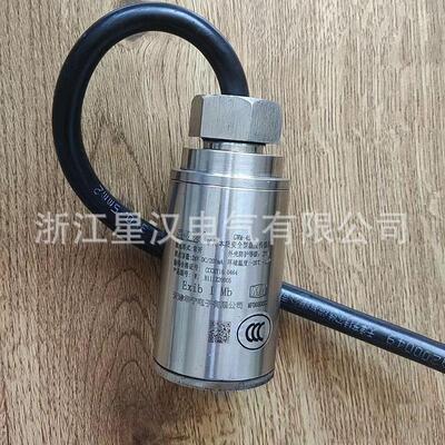 天津华宁 GWM-45矿用本质安全型温度传感器W1 W2 W3