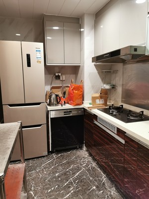 西门子SJ533S09CC怎么样?千万要注意,内幕大揭秘