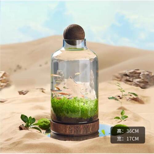 缸创意水草瓶日式造景diy鱼缸生态玻璃景观木托微办公室鱼虾桌面
