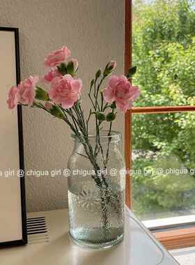 覆古玻璃花瓶ins风透明装饰摆件客厅饭厅摆件装饰插花彩色瓶子