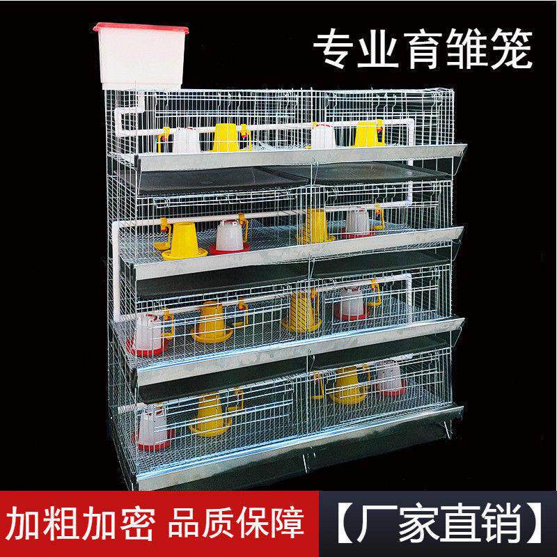 加粗加密育雏笼小鸡笼雏鸡笼4层一体式弹簧门养殖繁殖鸡鸭苗笼子