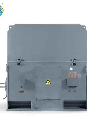 YK0S50 7JPW10KW YKK机座0大功率100小0伏6KV高压三相异步电机