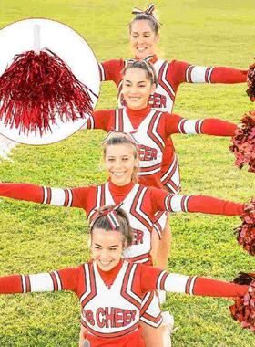 24 Pcs Cheerleading Pompoms Cheering Bouquet Kids The Pet