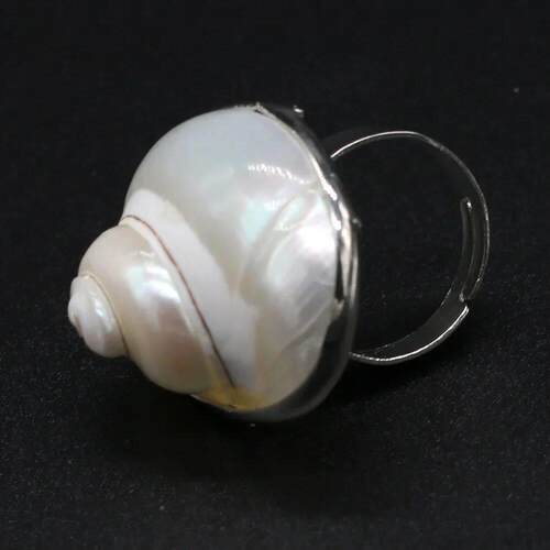 Freshwater Shells Natural Stone three-dimensional Shell Ring