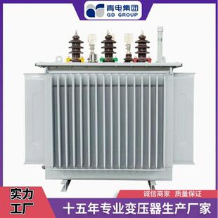 SKVA油浸式 青变压器厂S13 400S500630油浸式 22系电 S变压器20