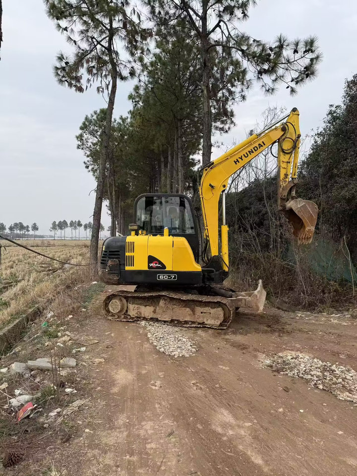 3月20日金华现代60挖掘机网络拍卖公告