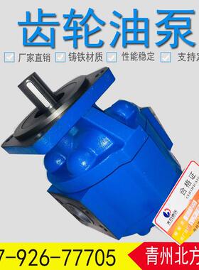 高压液压泵CBG1032-A1R-25齿轮泵液压元件