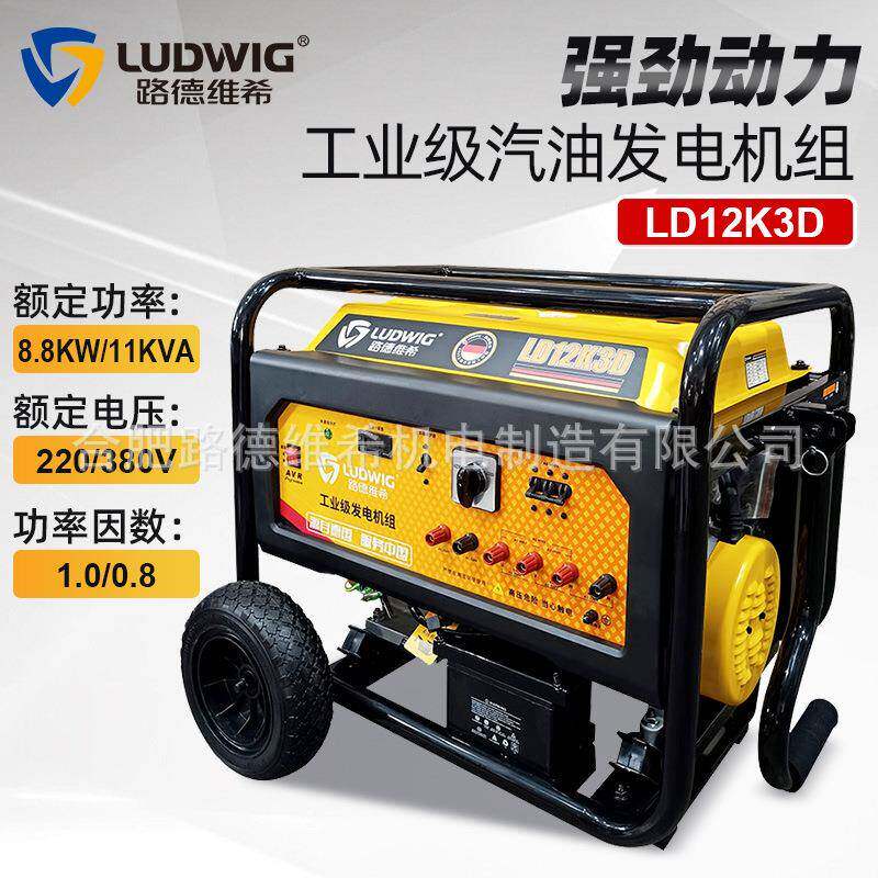 LD12K3D 工业级汽油发电机组220V/380V小型家用户外摆摊露营电源