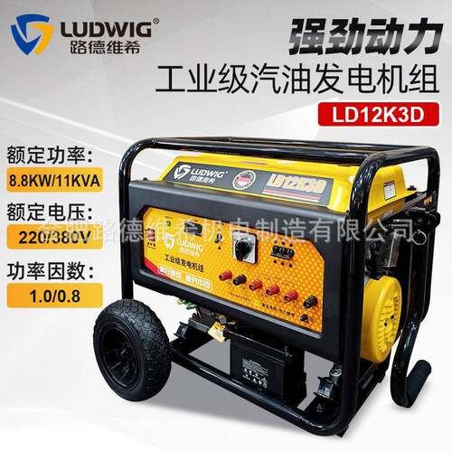 LD12K3D 工业级汽油发电机组220V/380V小型家用户外摆摊露营电源