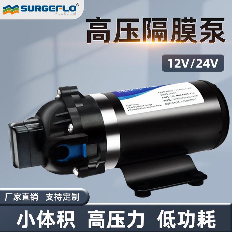 DP-160压力隔膜泵12v24v小型农喷雾净水器压路机地暖清洗车泵